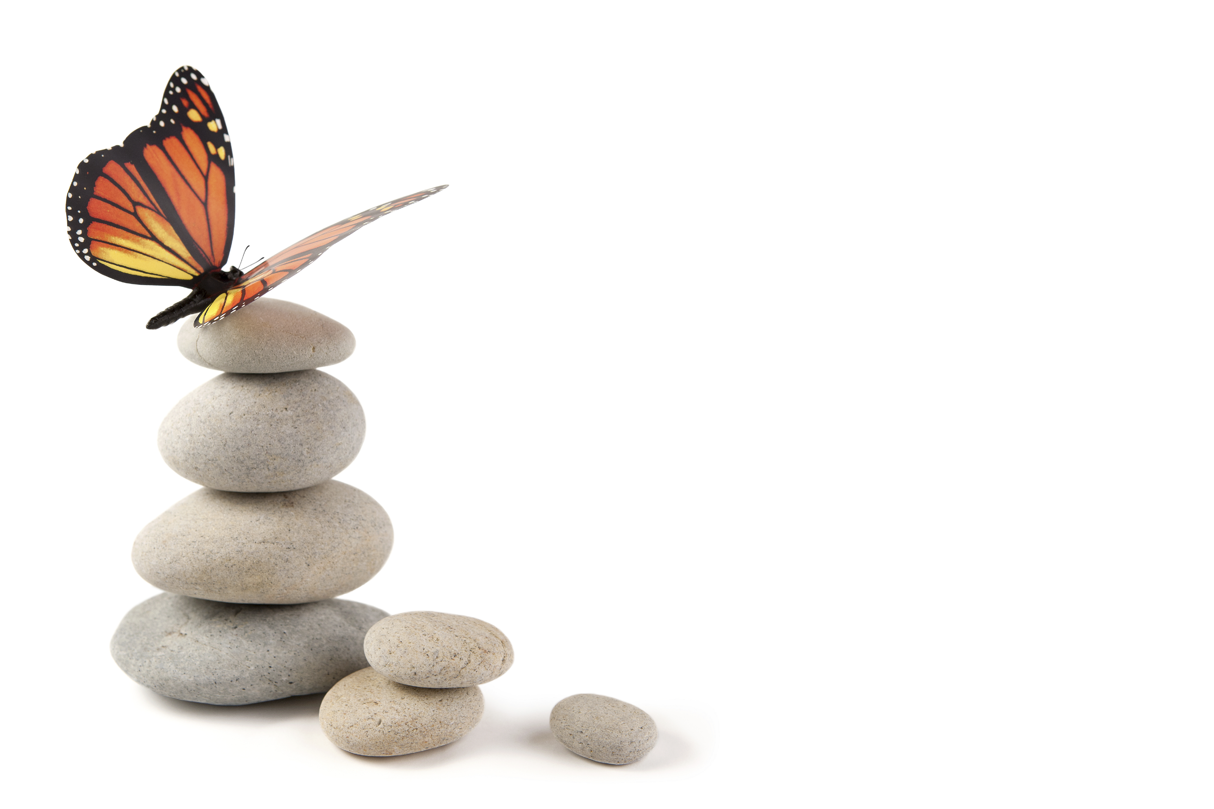 Adapt and Achieve: Serving clients in the evolving market